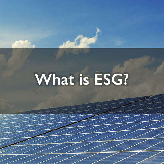 What is ESG?